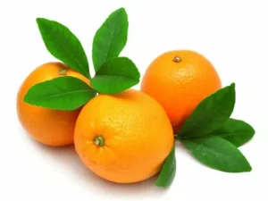 البرتقال النافل