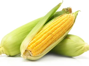 الذرة الحلوة